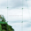 Plastic polypropylene trellis net